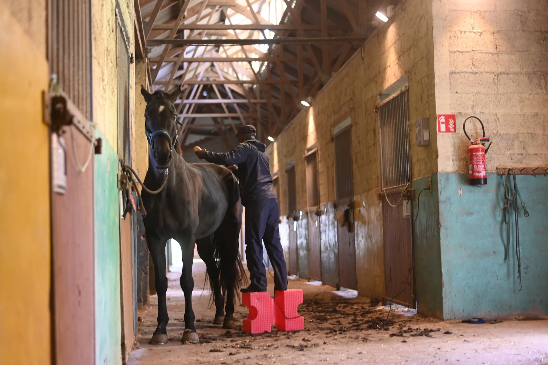 reportage écurie reportage photo