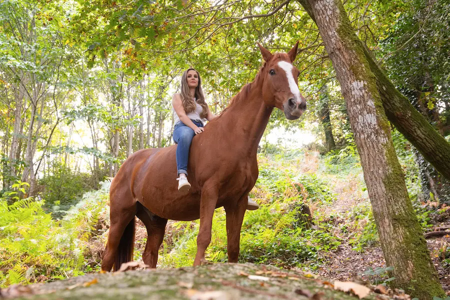 séance photo cavalier cheval