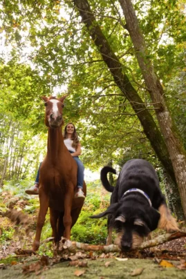 préparation shooting équin