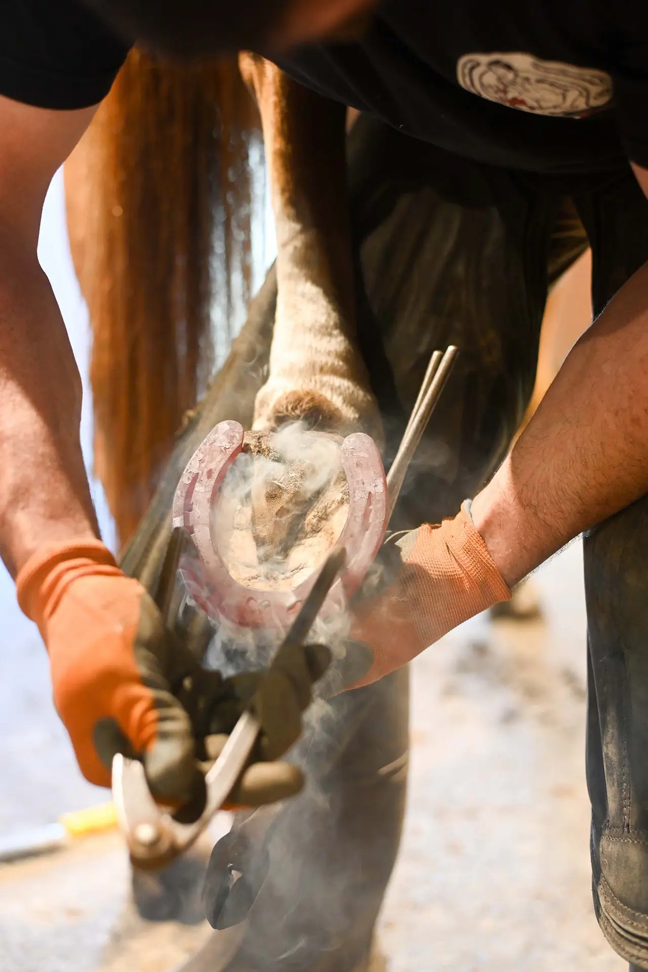 ferrage-siteweb (1) photo reportage pour artisans